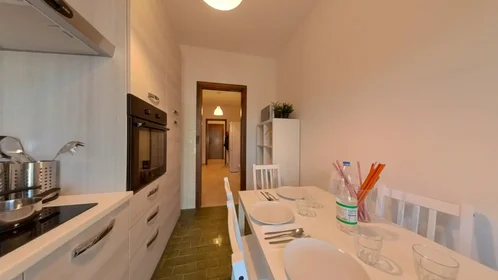 Prywatny pokój Via San Roberto Bellarmino 6, obraz 8 18