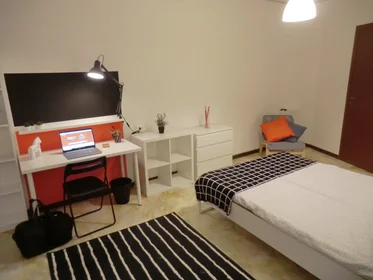 Chambre privée à Via Francesco Beltrame 9, image 3 de 15