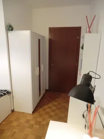 Chambre privée à Via Francesco Beltrame 9, image 4 de 15