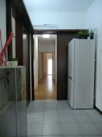 Private room at Via San Pio Decimo 41, image 12 of 18