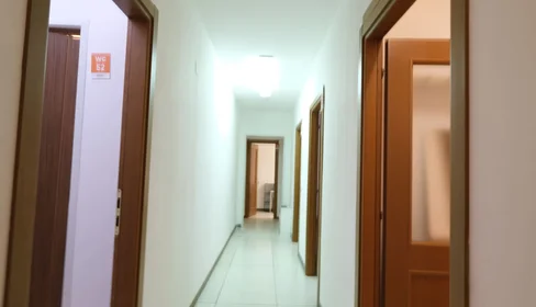 Quarto privado em Via Michele Coppino 26, imagem 15 de 16