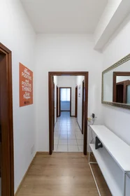 Stanza privata in Viale Fratelli Spazzoli 123, immagine 11 di 15