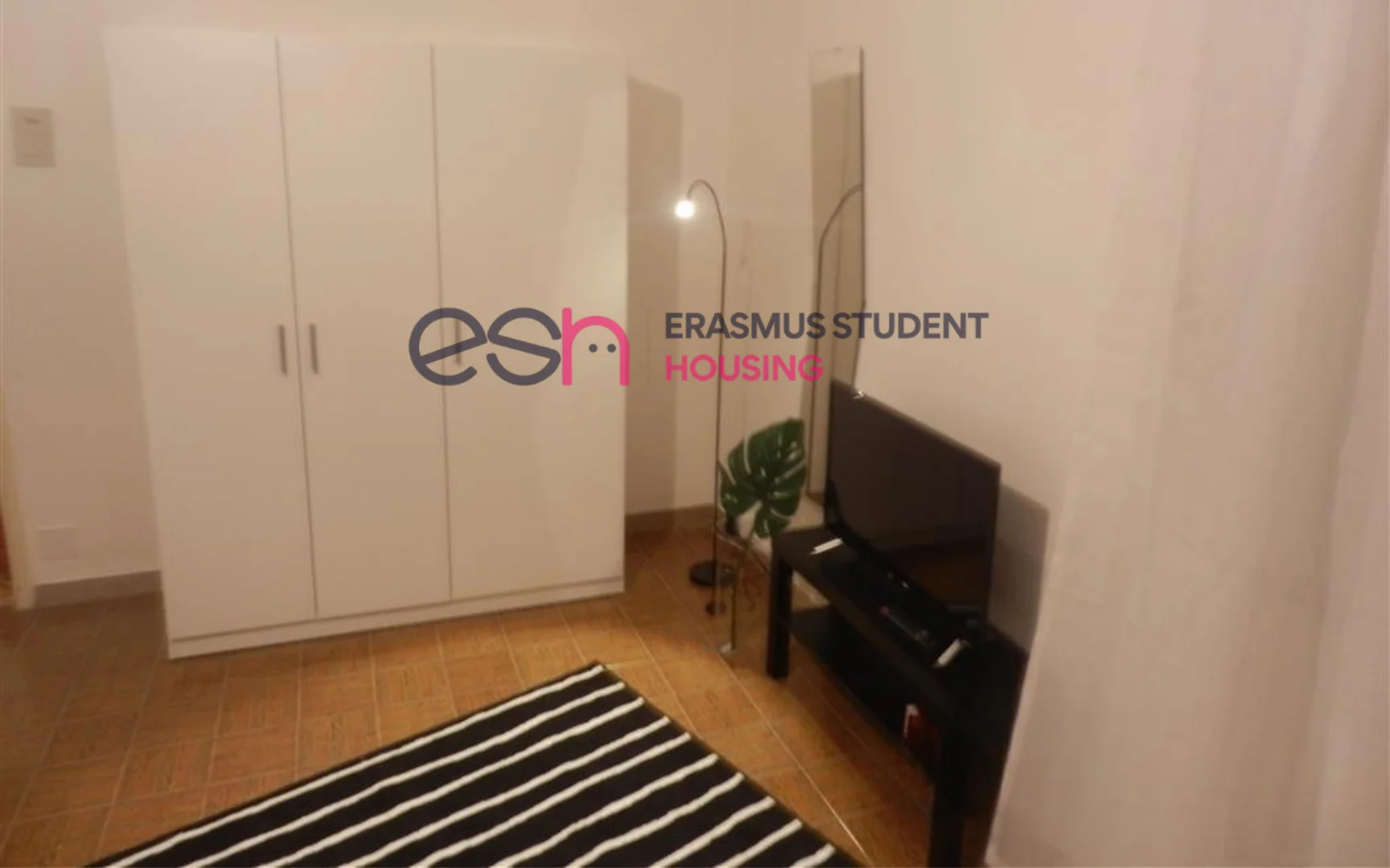 Studentenzimmer in  mit Arbeitsbereich und Gemeinschaftseinrichtungen