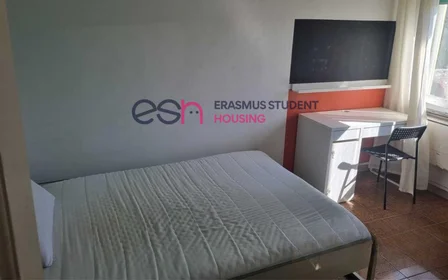 Privatzimmer in der Via San Giovanni Bosco, bild 3 von 11
