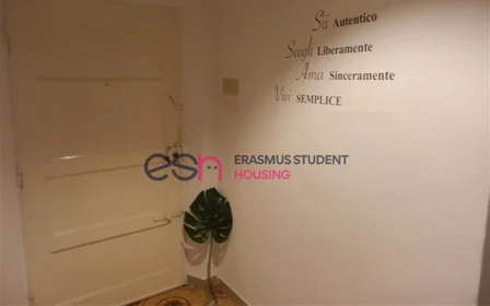 Privatzimmer in der Via San Giovanni Bosco, bild 8 von 11