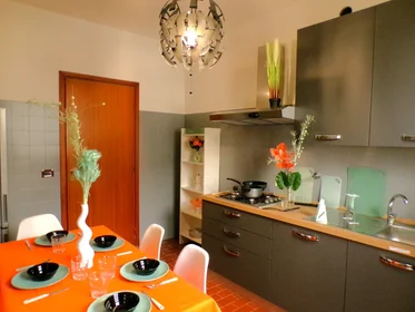 Private room at Via Rodolfo Mondolfo 7, image 10 of 18