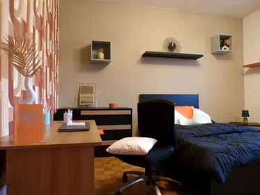 Private room at Via Rodolfo Mondolfo 7, image 5 of 18