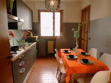 Private room at Via Rodolfo Mondolfo 7, image 6 of 18