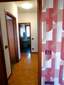 Private room at Via Rodolfo Mondolfo 7, image 12 of 18