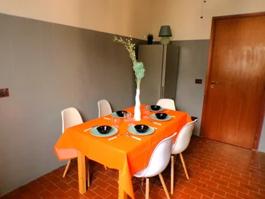 Private room at Via Rodolfo Mondolfo 7, image 8 of 17