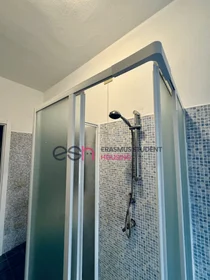 Privatzimmer in der Via Di Parigi, bild 11 von 13