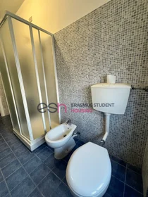 Privatzimmer in der Via Di Parigi, bild 14 von 14