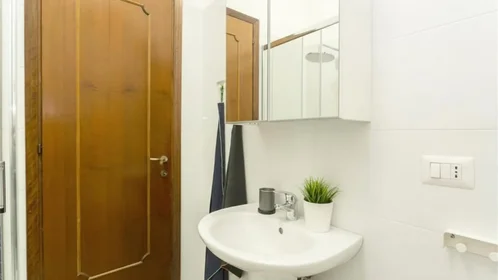 Chambre privée à Via Fanfulla Da Lodi 9, image 14 de 15
