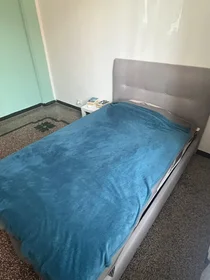 Prywatny pokój Via Anton Giulio Barrili 7, obraz 3 6