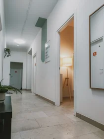 Privatzimmer in der Via Giacomo Ciamician 4, bild 13 von 22
