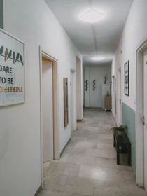 Privatzimmer in der Via Giacomo Ciamician 4, bild 15 von 21