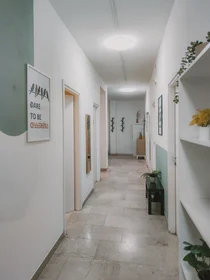 Privatzimmer in der Via Giacomo Ciamician 4, bild 14 von 22