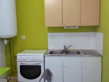 Appartamento intero in Avenue Denfert Rochereau, immagine 3 di 6
