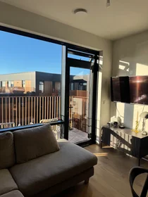 Appartamento intero in Bygggarðar, Seltjarnarnes, immagine 3 di 10