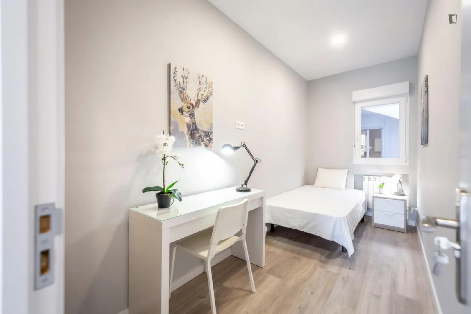Cozy room for students available in 
