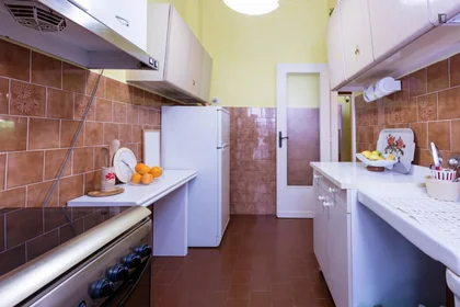 Chambre privée à Viale di Villa Pamphili, image 7 de 18
