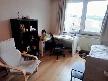 Appartamento intero in Tongerseweg, immagine 3 di 9