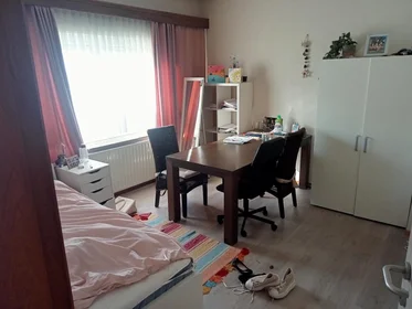 Appartamento intero in Tongerseweg, immagine 5 di 9