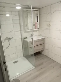 Appartamento intero in Tongerseweg, immagine 6 di 9