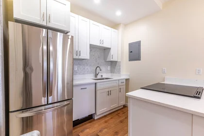 Apartamento inteiro em residência em 94, Hutchings, Unit 3, Dorchester, Boston, MA, 02121, imagem 2 de 29