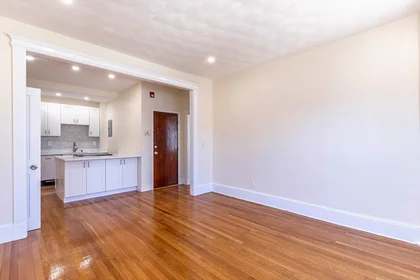 Apartamento inteiro em residência em 94, Hutchings, Unit 3, Dorchester, Boston, MA, 02121, imagem 17 de 29
