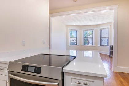 Apartamento inteiro em residência em 94, Hutchings, Unit 3, Dorchester, Boston, MA, 02121, imagem 20 de 29