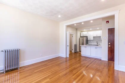 Apartamento inteiro em residência em 94, Hutchings, Unit 3, Dorchester, Boston, MA, 02121, imagem 3 de 29