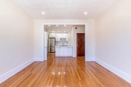 Apartamento inteiro em residência em 94, Hutchings, Unit 3, Dorchester, Boston, MA, 02121, imagem 26 de 29