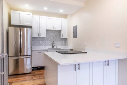 Apartamento inteiro em residência em 94, Hutchings, Unit 3, Dorchester, Boston, MA, 02121, imagem 9 de 29