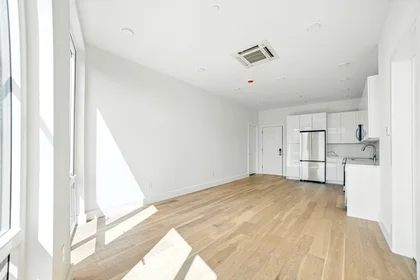 Apartamento inteiro em residência em 38, Hichborn, Unit 203, Brighton, Boston, MA, 02135, imagem 1 de 18