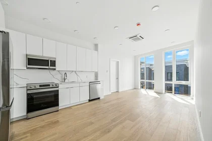 Apartamento inteiro em residência em 38, Hichborn, Unit 203, Brighton, Boston, MA, 02135, imagem 16 de 18