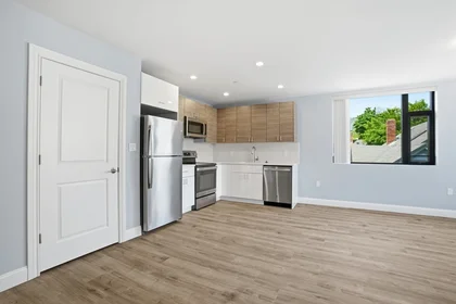 Apartamento inteiro em residência em 632, Centre St., Unit 203, Jamaica Plain, Boston, MA, 02139, imagem 20 de 20
