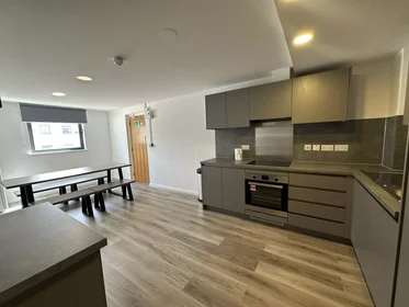 私人房间 在 North Church Street, 49的图像34