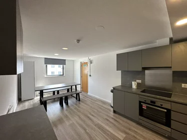 私人房间 在 North Church Street, 49的图像36