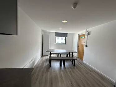 私人房间 在 North Church Street, 49的图像37