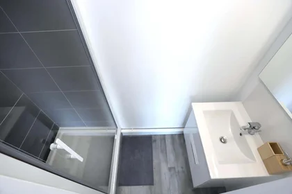 Chambre privée à 8 Rue Georges Hamon, 29200 Brest, France, image 3 de 9