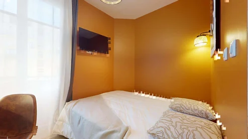 Prywatny pokój 51 Rue Professeur Paul Sisley, 69003 Lyon, France, obraz 1 10