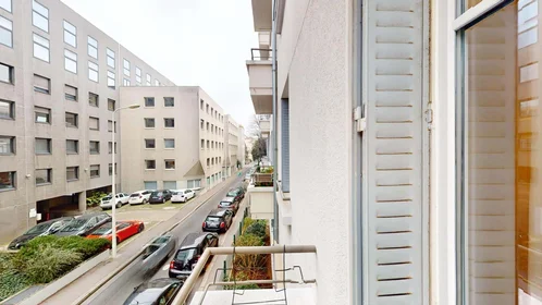 Stanza privata in 51 Rue Professeur Paul Sisley, 69003 Lyon, France, immagine 21 di 22