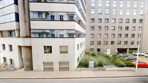 Stanza privata in 51 Rue Professeur Paul Sisley, 69003 Lyon, France, immagine 22 di 22