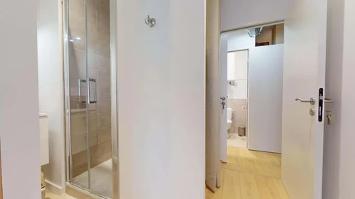 Stanza privata in 51 Rue Professeur Paul Sisley, 69003 Lyon, France, immagine 4 di 22