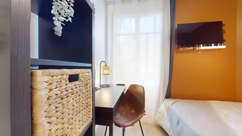 Stanza privata in 51 Rue Professeur Paul Sisley, 69003 Lyon, France, immagine 5 di 22