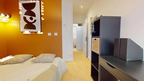 Privatzimmer in der 51 Rue Professeur Paul Sisley, 69003 Lyon, France, bild 6 von 22