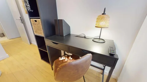 Privatzimmer in der 51 Rue Professeur Paul Sisley, 69003 Lyon, France, bild 9 von 22