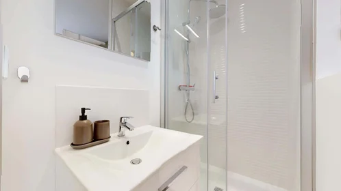 私人房间 在 39 Rue Eugène Fournière, 69100 Villeurbanne, France, 15的图像8