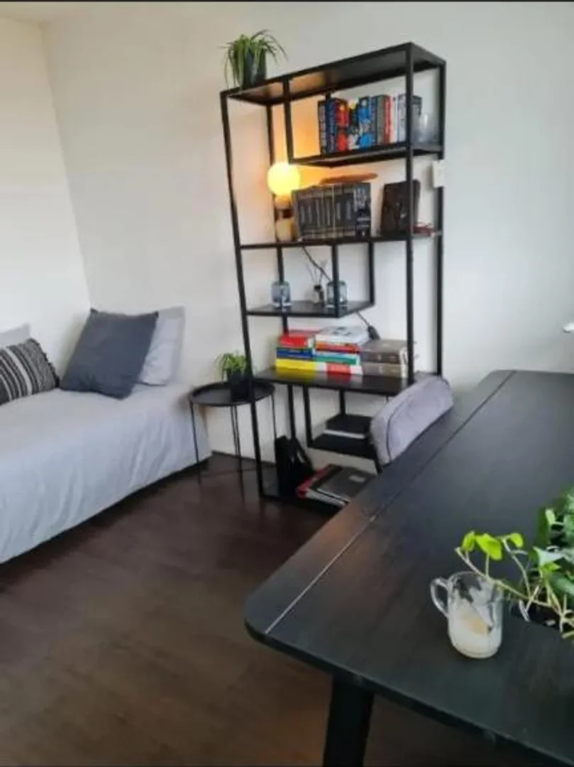 Quarto de estudante confortável e espaçoso em 